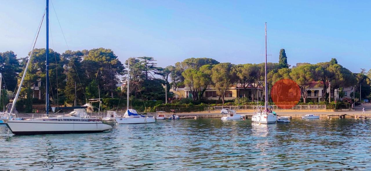 Royal * Zadar